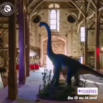 Exposition découverte : l'histoire des Dinosaures à Landerneau